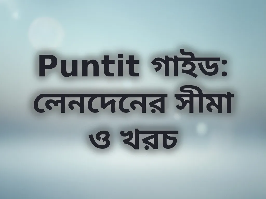 লেনদেন সীমা গাইড